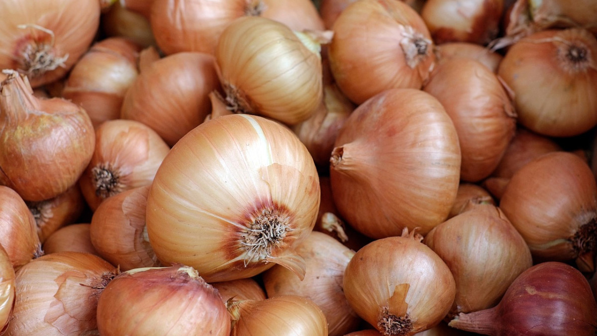 pixabay / иллюстративное фото