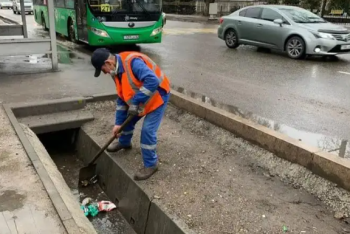 Алматинцев, засоряющих арыки и ливневые стоки, будут штрафовать