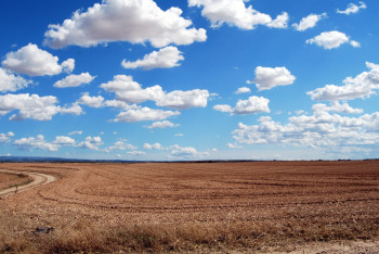 Земли стоимостью 42 млн тенге вернули государству в Акмолинской области