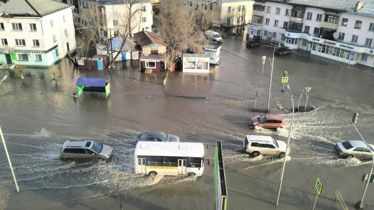 Асель Турар.