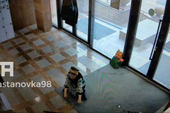 Женщина справила нужду в Доме министерств