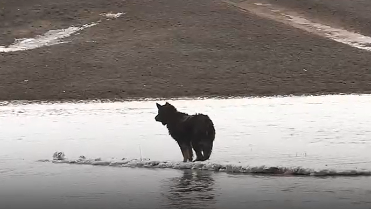 фото МЧС РК