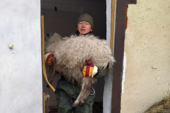Фотография к новости: Спим по несколько часов: спасатели рассказали о работе в зоне подтоплений