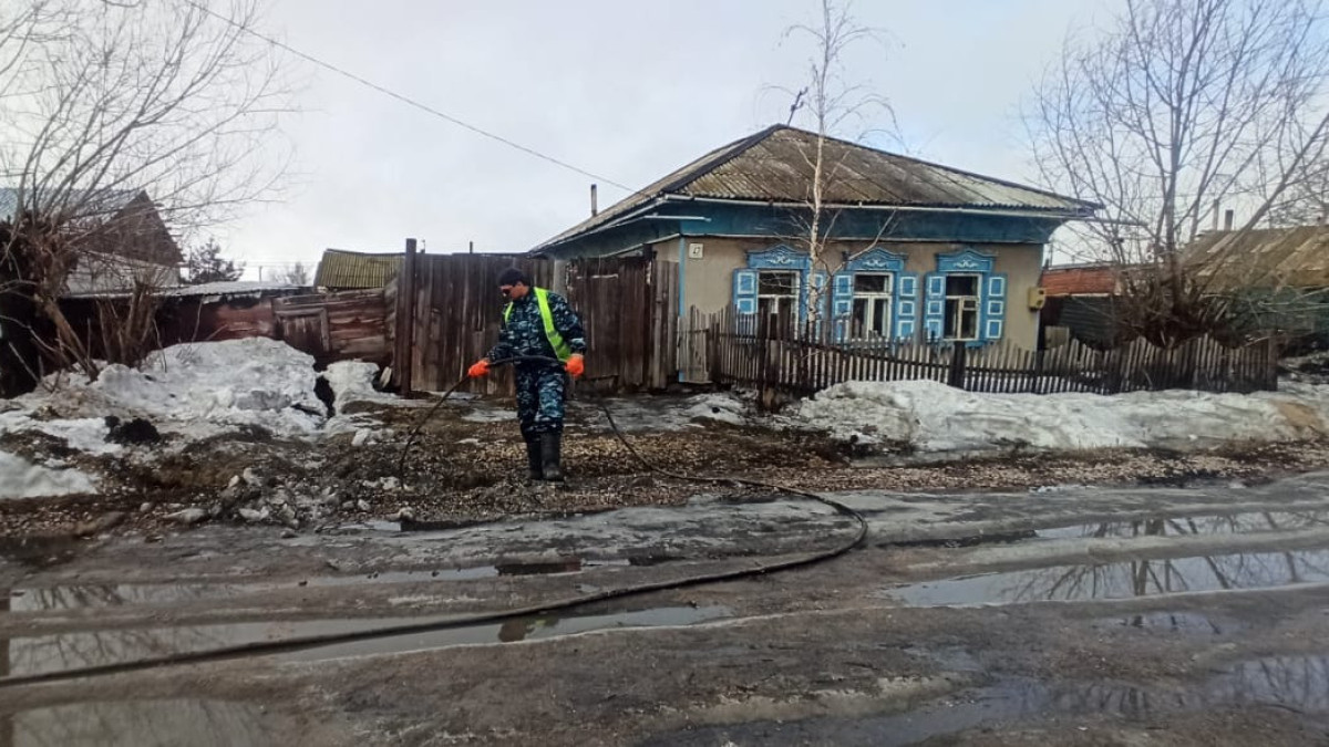 Наталья Волкова.