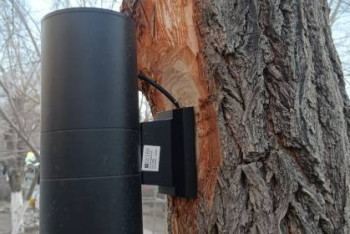 В Балхаше уличные фонари прикрутили к деревьям