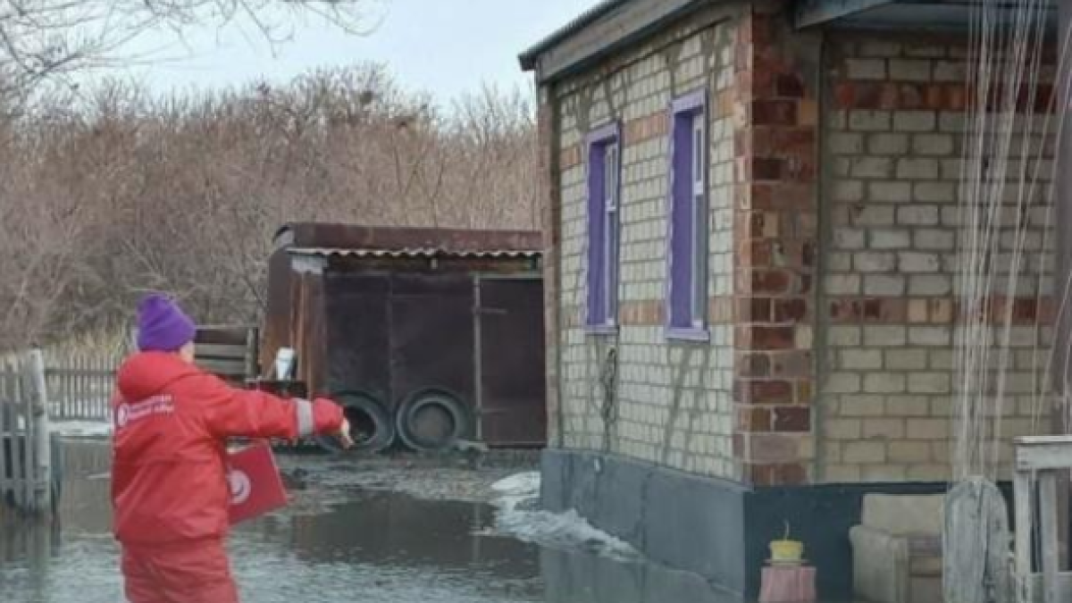 Опубликованы адреса пунктов сбора гуманитарной помощи в Астане