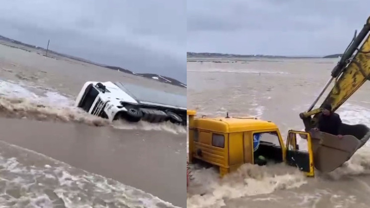 скриншот видео