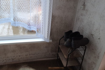 Фотография к новости: Сельская учительница несколько дней охраняет свой затопленный дом в Павлодарской области