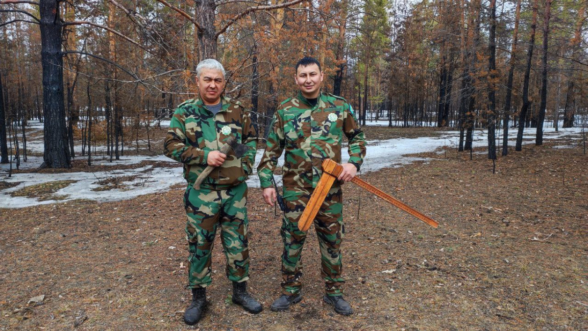 Альбина Халел