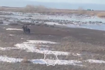 Двоих пастухов спасли на вертолёте в области Абай