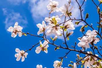 До +22 потеплеет в Казахстане в ближайшие дни