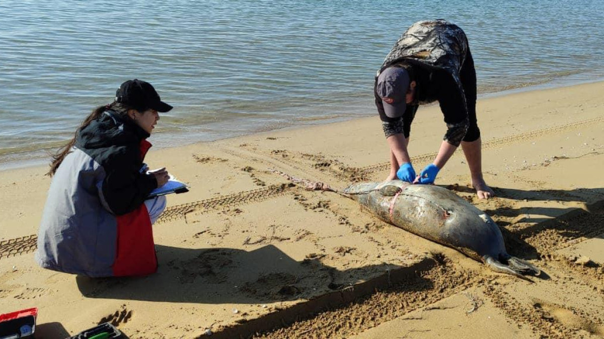 Минсельхоз РК