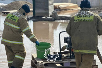 Под Астаной спасли пару, которая отдыхала вдоль реки