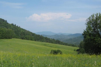 Фотография к новости: Земли на 2,4 млрд тенге вернули государству в Павлодарской области