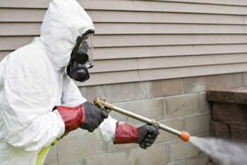 В Астане начнут травить насекомых и грызунов