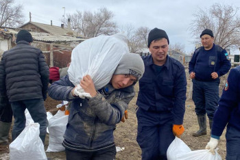 Фотография к новости: Жители Костанайской области собственными усилиями спасли село от паводка