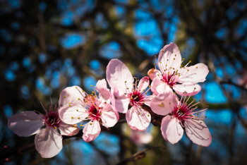 Какой будет погода в ближайшие трое суток в Казахстане