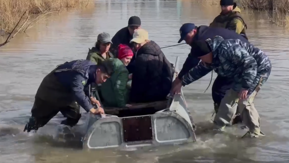 скриншот с видео Polisia.k