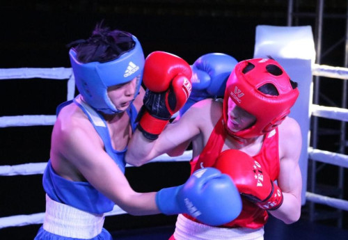 Фотография к новости: Казахстан завоевал 18 золотых медалей на международном турнире по боксу