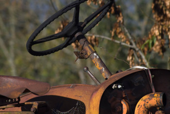 Перевернулись на тракторе: тела двух мужчин обнаружили спасатели в подтопленном Кульсары