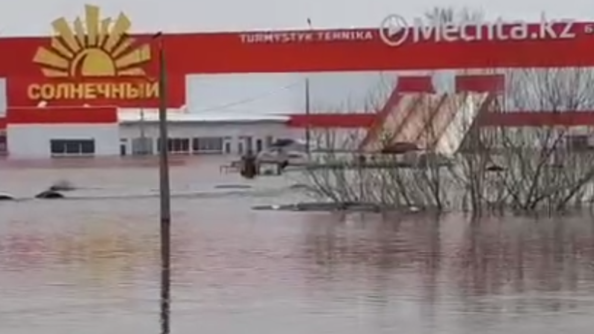 Скриншот с видео "Наша газета"