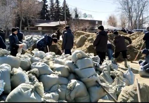 Фотография к новости: Затопленный приют для животных  и тысяча волонтёров: как живут костанайцы во время режима ЧС