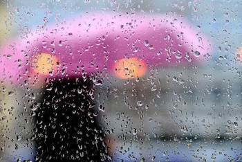 Сильные дожди прогнозируют синоптики в ближайшие дни в Казахстане