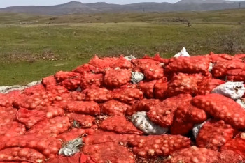 Фотография к новости: Тонны гнилого лука нашли в горах близ Тараза