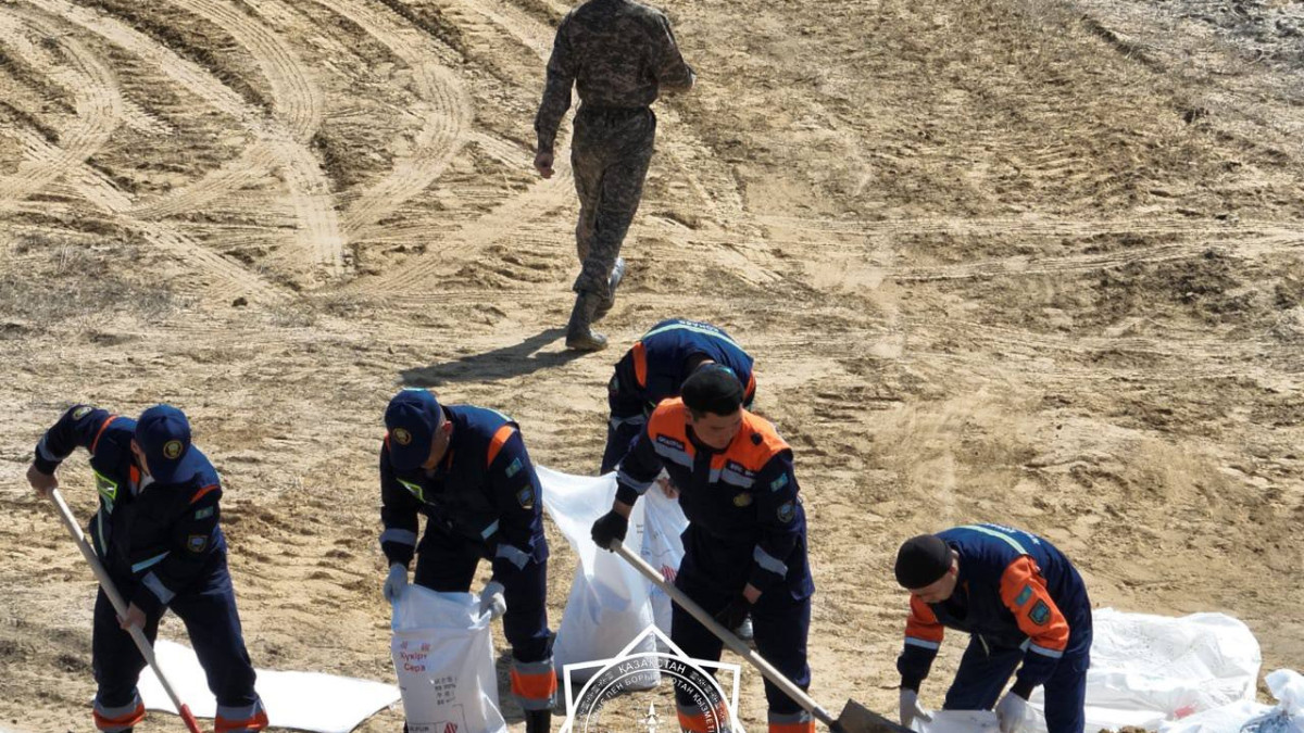 telegram/qr_tjm/иллюстративное