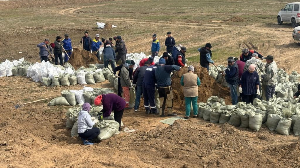 Дүйсенбай Тұрғанов