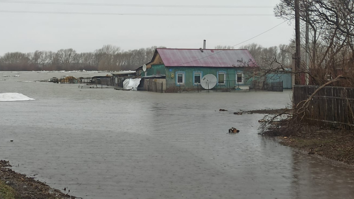Наталья Волкова.