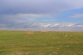 Фотография к новости: Земли на 2,1 млрд тенге вернули в госсобственность в Павлодарской области