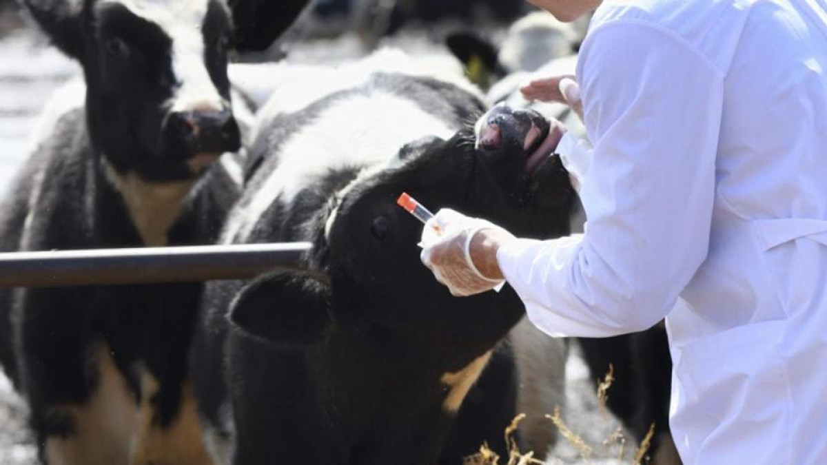 прокуратура Жамбылской области