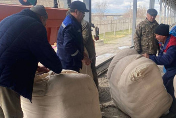 Паводки в Казахстане: из госматрезерва разбронировали технику и палатки