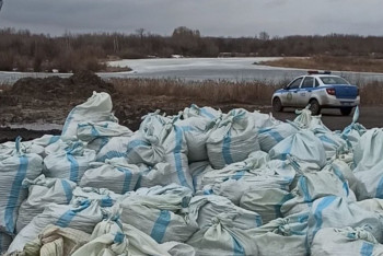 Фотография к новости: Петропавловцы укрепляют дамбу, чтобы спасти свои дома
