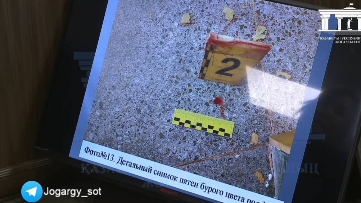 скриншот с трансляции Верховного суда