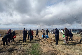 Экологическая акция "Таза Қазақстан": около 240 тонн мусора вывезли в Туркестанской области