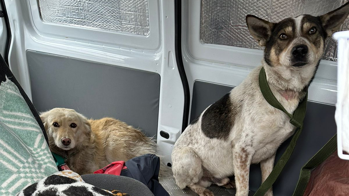 пресс-служба Центра поддержки гражданских инициатив