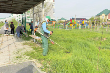 В Шымкенте продолжается экоакция "Таза Қазақстан"