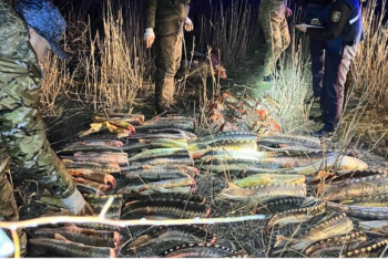 Акция "Бекіре-2024": 2,6 тонны рыбы изъяли из незаконного оборота