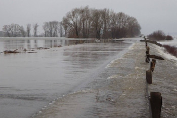 Уровень воды в реке Урал приближается к критической отметке