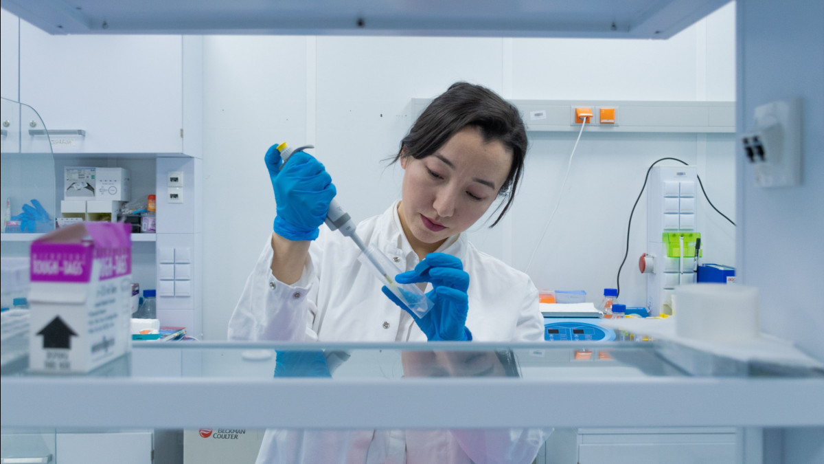 предоставлено Айжан Ахмади.