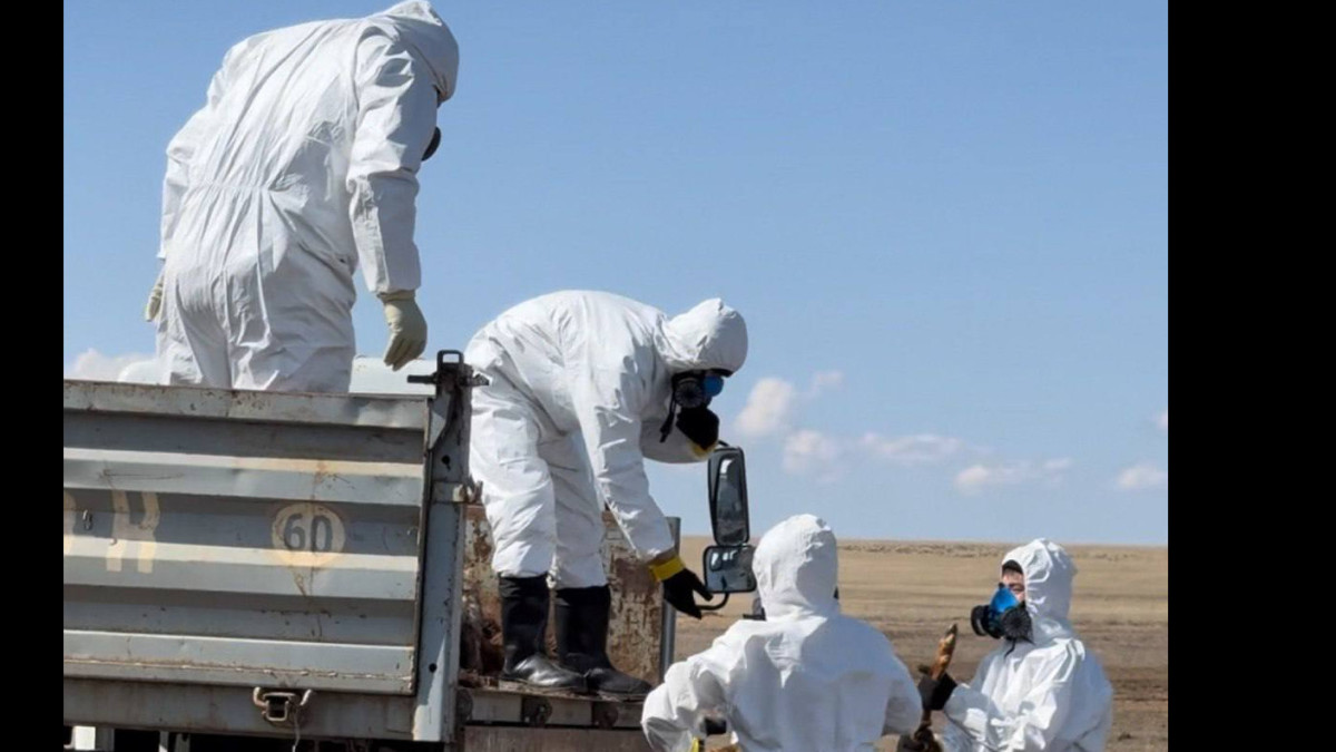 пресс-служба Минсельхоза