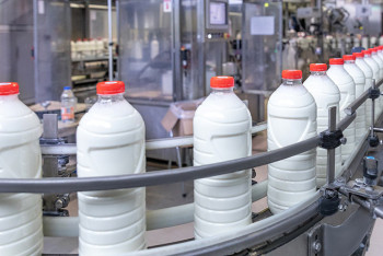 Молоко, сыр и масло отправит Кыргызстан пострадавшим от паводков казахстанцам