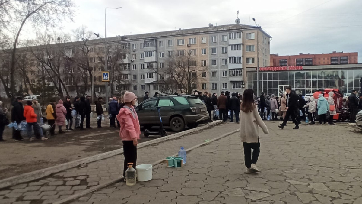 Наталья Волкова