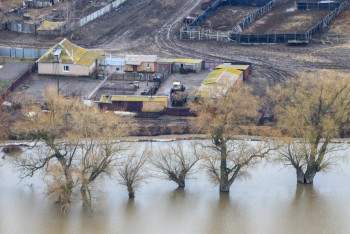 Паводки в РК: продукты питания в регионы доставляют без перебоев