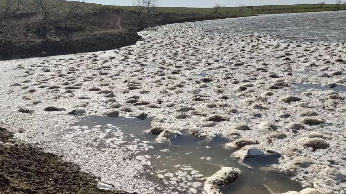"Уральская неделя"