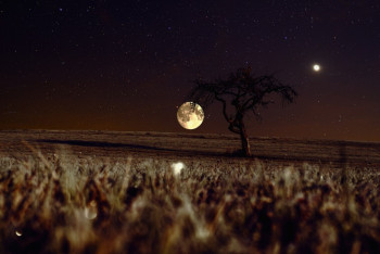 Вспышку новой звезды обещают учёные в ближайшие месяцы