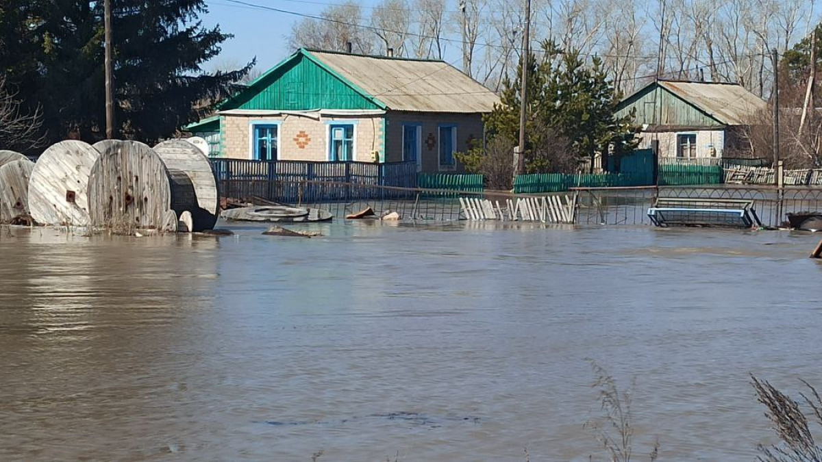 Наталья Волкова.