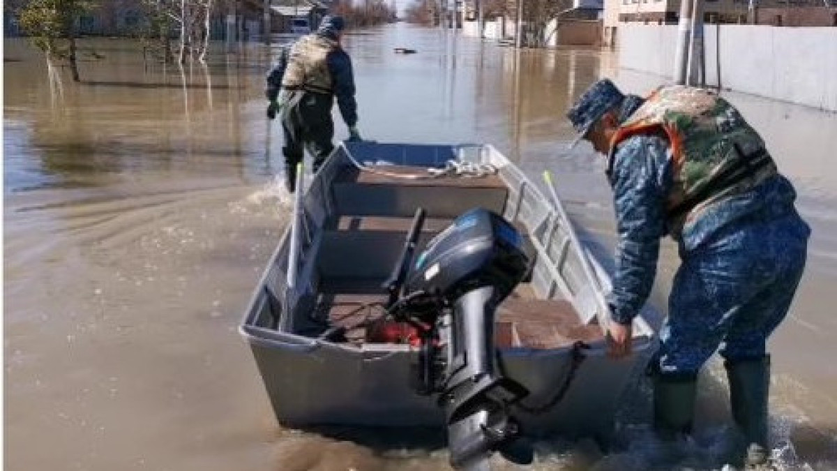 стоп-кадр из видео